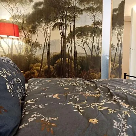 Tres Bel Rez De Jardin De 53m2. Apartament Pfastatt